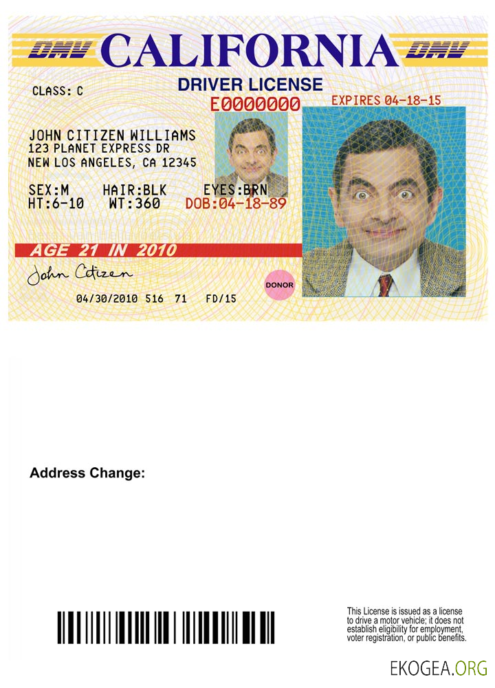 USA California driving license version 3